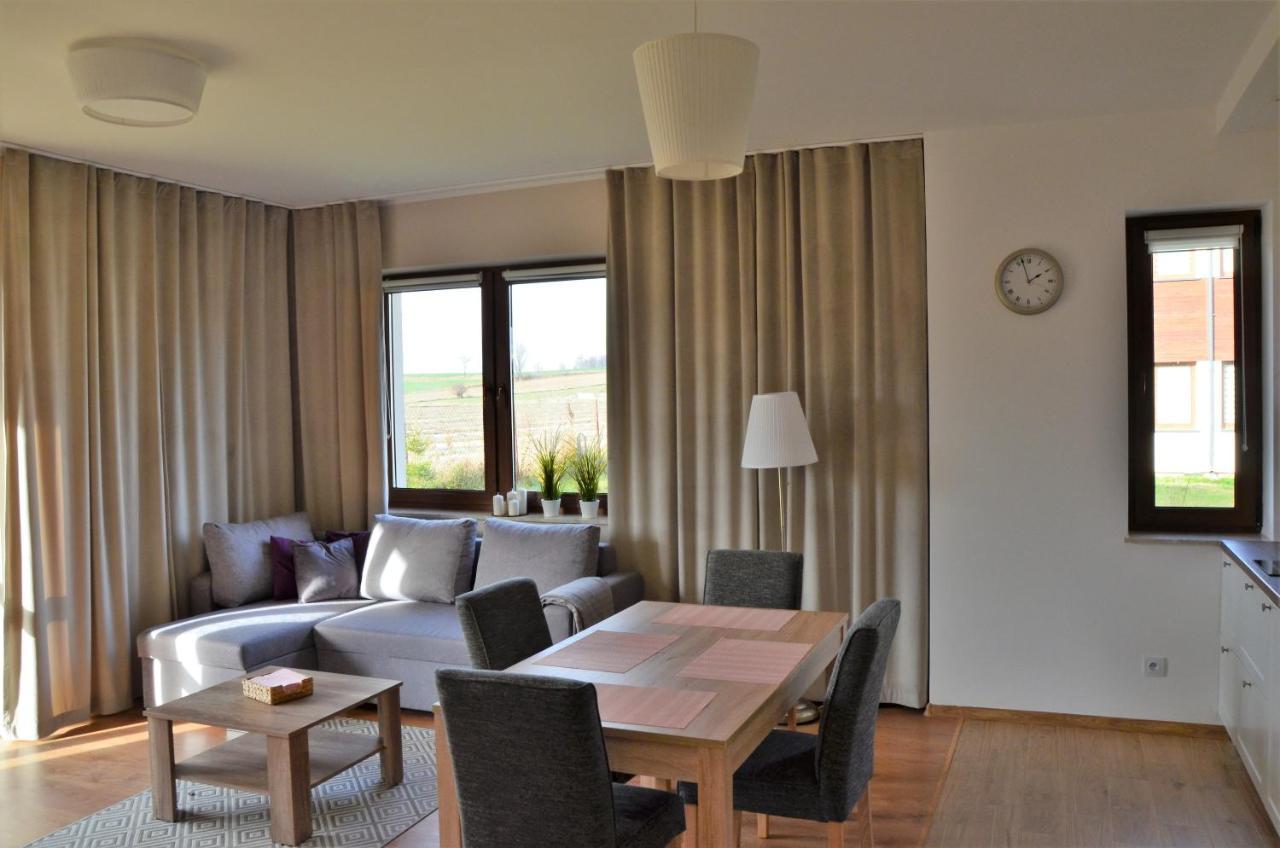 Komfort Apartament Nałęczów Kültér fotó